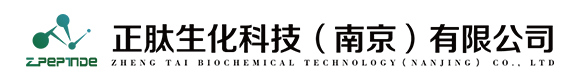 深圳市金正電器有限公司